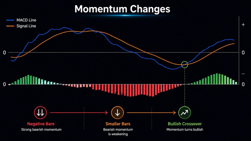 MACD histogram showing weakening selling momentum